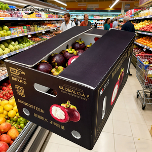 Boîte en plastique ondulé PP étanche pour mangoustans, emballage de fruits pour exportation en chaîne du froid - Product Image 1