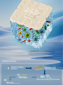 Tăng cường lọc hồ cá với phương tiện lọc xoắn ốc diện tích bề mặt cao để lọc sinh học tối ưu và loại bỏ Amoniac - Product Image 2