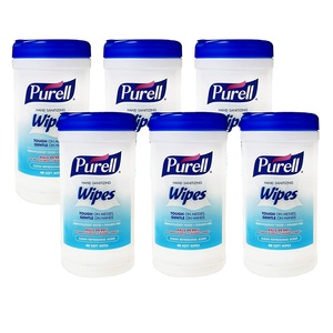 Best selling Clean Refreshing Scent Anti-bacteria Hand Sanitizing Wipes