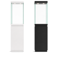 Vitrine autoportante en verre noir et blanc avec éclairage pour bijoux, colliers de diamants, parfums et exposition en magasin de détail