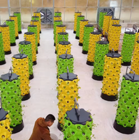 Systèmes de culture Ferme verticale Serres agricoles Système hydroponique pour plante d'intérieur