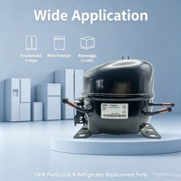 Kompresor GMCC R600a PZ75E1D PZ90H1Y PZ99H1Y PZ110H1B 1/3HP 1/4HP Tekanan Balik Rendah Lemari Pendingin Display 3kg Cina