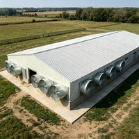 Structure en acier galvanisé à chaud moderne, haute résistance, résistante au vent et aux tremblements de terre, poulailler préfabriqué, hangar pour volailles