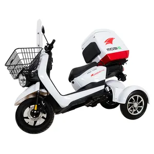 Factory OEM/ODM Motorcycles Scooters For Adult Super Long Endurance Safe And Electric Vehicle 3 Wheel