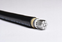 Kabel Daya Tegangan Rendah Multi Inti Aluminium YJLV YJLV22 VLV Berisolasi XLPE Berlapis PVC 0.6/1kV Penjualan Langsung Pabrik