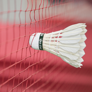 Volant de badminton haute performance en plumes d'oie pour un contrôle de précision en compétition - Product Image 6