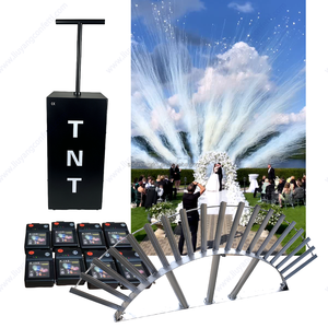 Événement Louer Fx Personnaliser Confettis Poudre <span class=keywords><strong>Canon</strong></span> Articles De Fête Nouveau Design Popper Feux D'artifice De Mariage Tnt Fumée Bombe Sexe Révéler - Product Image 6