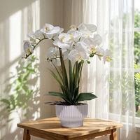 Fleur artificielle Phalaenopsis Orchidée réaliste, plante artificielle avec pot pour la décoration de la maison, décoration de table de salon