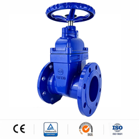 Vanne à opercule en fonte ductile avec joint en nitrile résilient, pour installation souterraine sous route