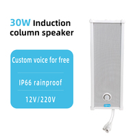 Haut-parleur colonne IP SIP 30W avec détecteur de mouvement infrarouge PIR, horloge, AirPlay, alimentation CC pour système de sonorisation de parking