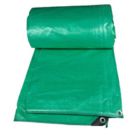 Bâche économique en PE, bâche en tissu imperméable, couleur verte, bleu et argent, 5OZ, 6OZ, livraison gratuite