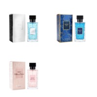 VILILY 75ml Parfum Unisexe OEM Boisé Agrumes Eau de Toilette Spray Longue Durée pour Hommes et Femmes 3 Senteurs VL-75 Vente en Gros