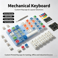 Custom Silicone Keypad Membrane Switch Multicolor Printing Keycaps for Industrial Mechanical Keyboard