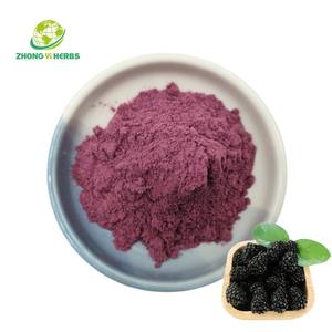 Private Label 100% чистый черный Мулберри фруктовый сок порошок Мулберри порошок - Product Image 2