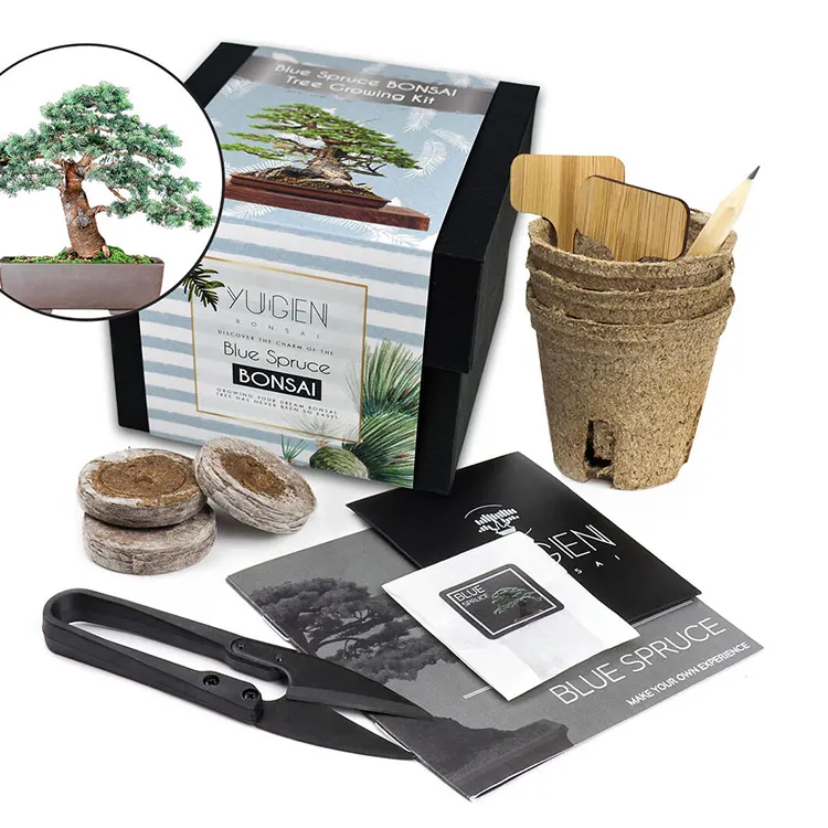 Bonsai tree seed starter kit indoor/outdoor bonsai tools grow kit DIY beginner set for all ages