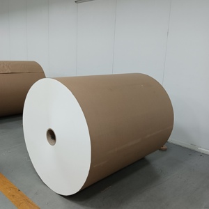 Rouleau de papier alimentaire enduit de PE pour la fabrication de gobelets/contenants alimentaires - Product Image 1