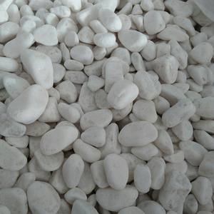Pierres naturelles de galets blancs, aménagement paysager paysager, vente en gros, disponible en grandes tailles - Product Image 1
