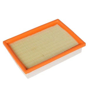 Filtre à air pour Chevrolet, taille standard, numéro de pièce de rechange 10296746 - Product Image 4