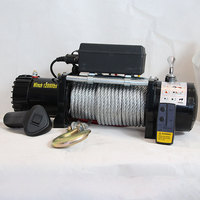 Treuil électrique mini 4x4 homologué CE, portable, capacité de levage 12000 lbs, moteur 12V DC, treuil électrique pour véhicule en acier, câble métallique, tension 24V