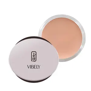 Wholesale Vegan Makeup Cosmetics Facial Contour Shadow Nude Foundation Lasting Waterproof Organic Concealer