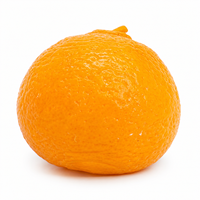 Mainan Jumbo Orange Squishy Realistis dari Bahan TPR, Buah-buahan yang Dapat Diremas, Lambat Naik Cepat Kembali, Sensorik, Pereda Stres, Unisex, 14 Tahun ke Atas