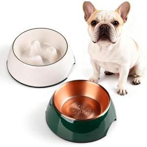 Ensemble de gamelles pour chien Super Dog, mangeoire lente, antidérapante, étanche IPX8, mélamine et acier inoxydable, pour chiens de petite et moyenne taille - Product Image 1