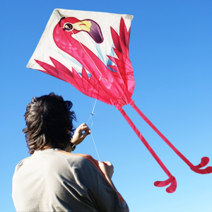 Cerf-volant <span class=keywords><strong>en</strong></span> forme de diamant coloré <span class=keywords><strong>en</strong></span> gros, 56 cm x 115 cm, cerf-volant à longue queue flamant rose, cerf-volant <span class=keywords><strong>en</strong></span> forme de diamant de grande taille - Product Image 4