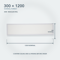Panneau lumineux LED à éclairage latéral 300x1200 40W pour les projets de plafonds de bureaux