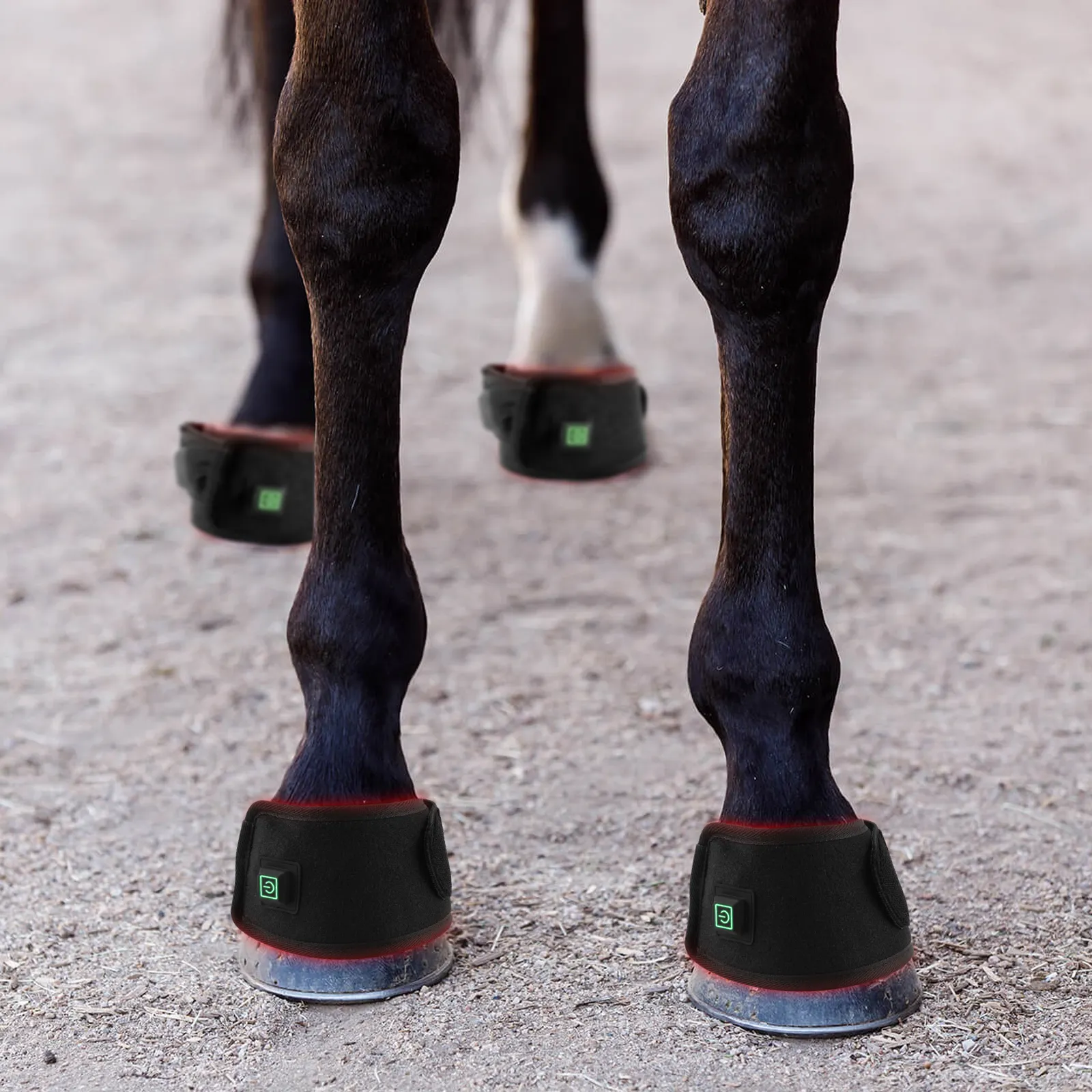 Anredar-envoltura de terapia de luz roja, nuevo producto, protección de equipos de caballos, botas de campana, equipo ecuestre