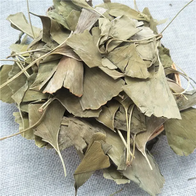 wholesale organic gingko leaf herbal tea dry gingko biloba leaves for health tea