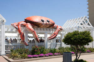 سلطانة عملاقة قابلة للنفخ نابضة بالحياة مخصصة 6mW 20ft نموذج سلطانة قابلة للنفخ واسعة للإعلان في الهواء الطلق سلطانان أحمر اصطناعي - Product Image 3