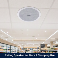 HD-192 Haut-parleur encastré PA de 6 pouces 3W/6W, haut-parleur de plafond 100V avec impédance de 8 ohms pour les magasins de détail et l'utilisation en commerce de détail