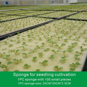 100 löcher hydroponik pflanzschwamm bodenlose gemüseanbaugeräte quadratische grotte pflanzschwamm pflanzblock - Product Image 6