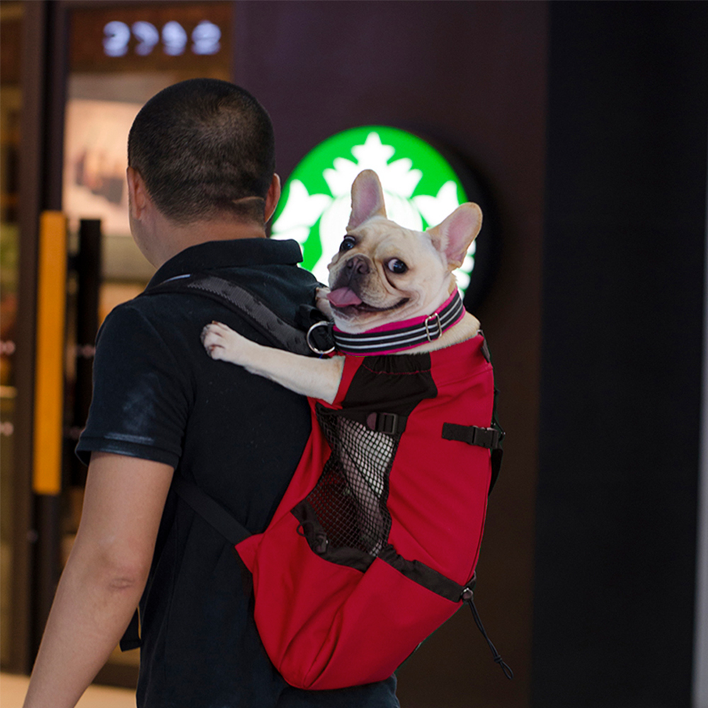 Passeggino Per Cani 3 In 1 WOTAT - Pieghevole, 4 Ruote, Con Navicella Rimovibile, Cuscino E Tenda