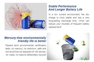 PKCELL <span class=keywords><strong>R14P</strong></span> 카본 배터리 장시간 방전 시간 C형 배터리 C 헤비 듀티 배터리 유형 <span class=keywords><strong>R14P</strong></span> 3 년 - Product Image 5