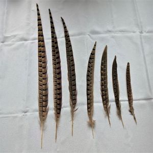 Bán Buôn 10-45Cm Núi Ringneck Gà lôi Lông-Tự Nhiên Với Số Lượng Lớn Cho Lễ Hội Đảng Trang Trí - Product Image 5