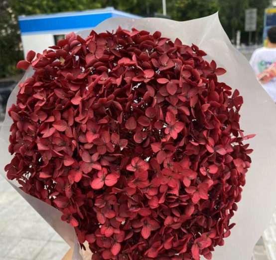 Vino rosso