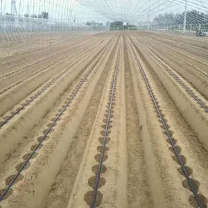 Système d'irrigation PE pour serre, goutte-à-goutte facile, de haute qualité à bas prix