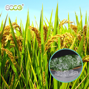 99% SAPポリマー水吸収ゲル植物用ホワイトパウダー超吸収ポリマーサップ農業 - Product Image 6