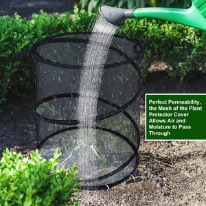 4 gói Trắng PVC mini nhà kính bảo vệ thực vật lồng Pop nhà máy bao gồm động vật côn trùng Hàng rào lưới vườn lưới bảo vệ - Product Image 5