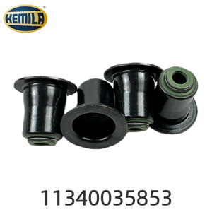 HEMILA Запчасти для автомобилей BMW N20/B48/N52 OE: 11340035853 Сальник впускного и выпускного клапанов двигателя - Product Image 1