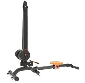 Vogatore per Uso Domestico Multifunzione Pieghevole Professionale Stazione di Allenamento Gantry Power - Product Image 6