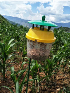 Trampa para Insectos Resistente a la Intemperie con Cubierta para Lluvia, Trampa Duradera para Monitoreo de Plagas en Huertos y Granjas - Product Image 6