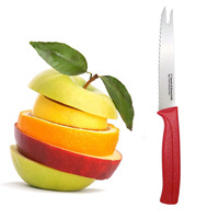 Couteau à tomates et à fromage de 5 pouces Couteau de cuisine tout usage en acier inoxydable à haute teneur en carbone avec manche en polypropylène
