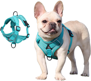 질식 없음 부드러운 통기성 에어 메쉬 조정 가능한 애완 동물 개 하네스 없음 풀 반사 개 하네스 및 ID 태그 링이있는 가죽 끈 세트 - Product Image 1