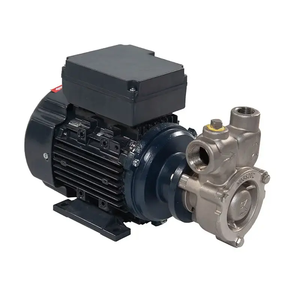 Mezclador de gas y líquido de aire y agua de acero inoxidable, bomba de producción de agua y ozono, bomba mezcladora de ozono, generador de nano burbujas para tanque DAF - Product Image 6