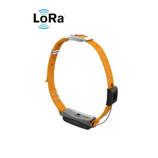 Lora Gps Tracking Device Cattle Lora Gps Cattle tracker for Lora Cattle Monitoring