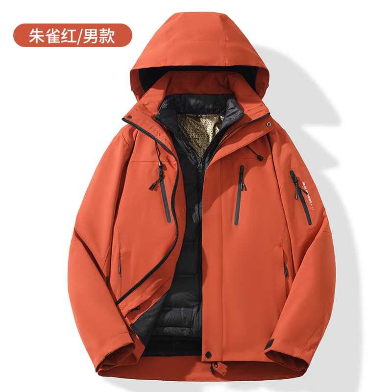 Oiseau vermillon rouge