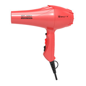 Secador de Pelo Profesional de 2000W con Doble Voltaje, Ajustes de Calor/Frío, Motor AC, Función Iónica para Hogares, Salones y Barberías - Product Image 2