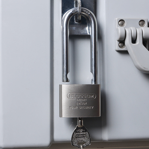 LS32L serrure à fleur <span class=keywords><strong>de</strong></span> 60MM en chine, <span class=keywords><strong>cadenas</strong></span> à coussin avec clé principale plaquée nickel, grand <span class=keywords><strong>cadenas</strong></span> en fer robuste et <span class=keywords><strong>de</strong></span> <span class=keywords><strong>sécurité</strong></span> - Product Image 6
